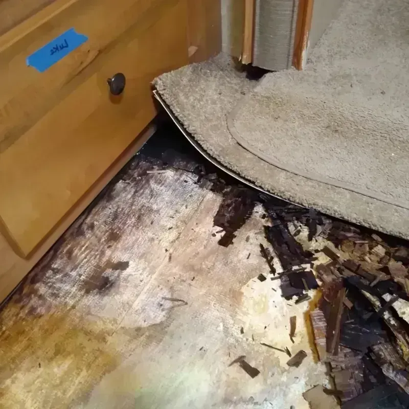 Wood Floor Water Damage in Raceland, LA